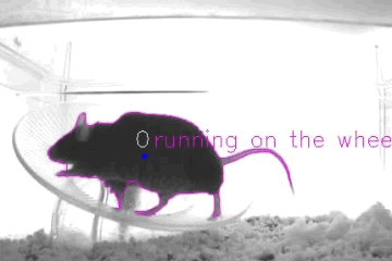 Tracking demonstration