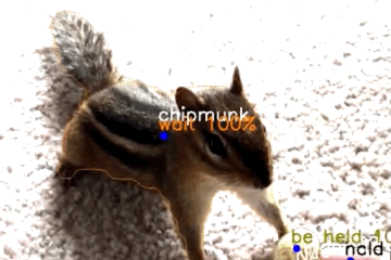 Quantifications demonstration